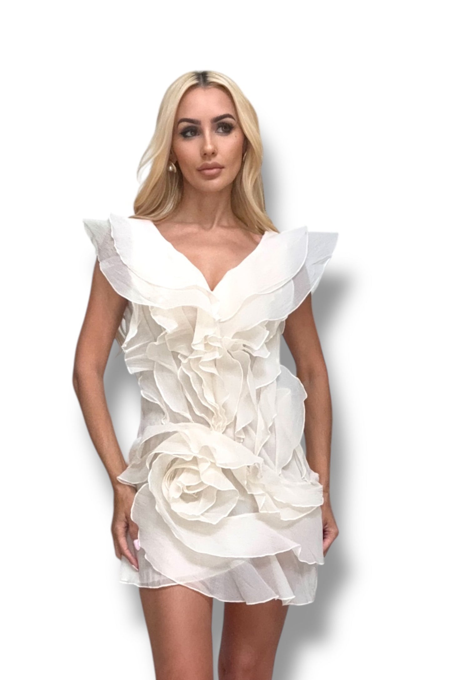 Ella Ruffle Mini Dress