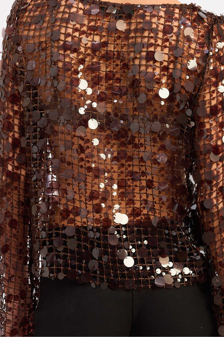 Serenity Sequin Mesh Top